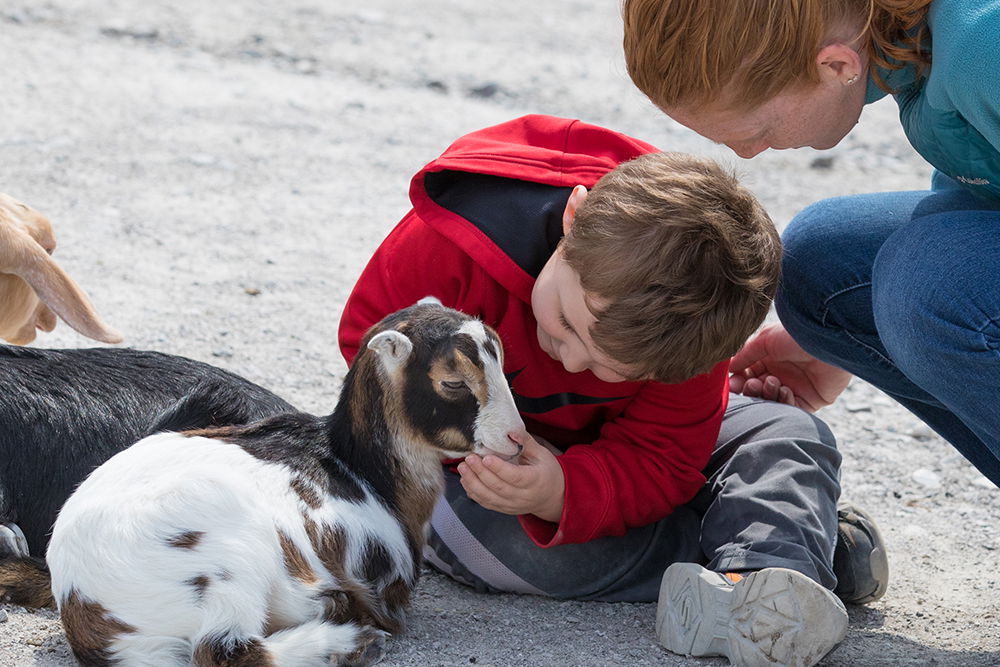 Boy with Goat