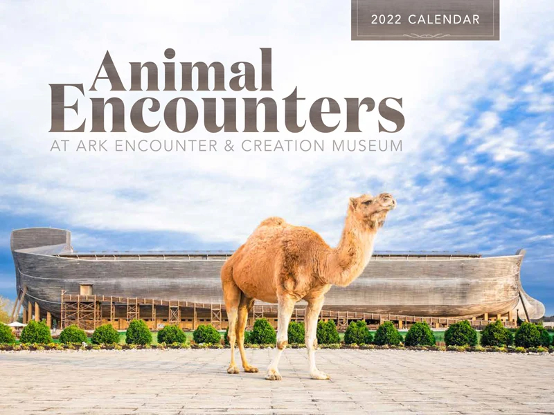 2022 Calendar: Animal Encounters