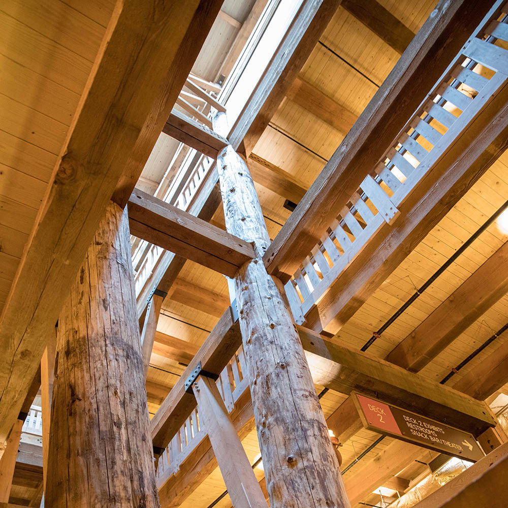 Ark Encounter Timber