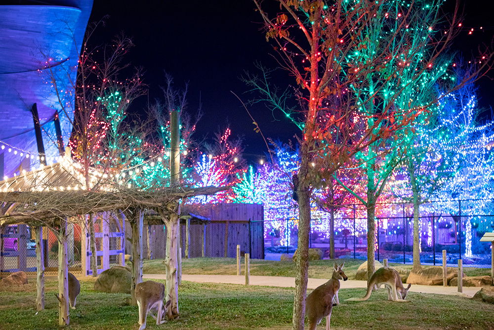 ChristmasTime at the Ark Encounter