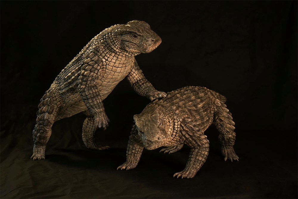 Simosuchus