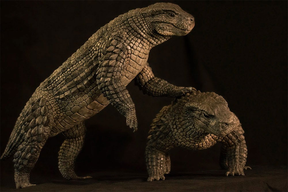 Simosuchus