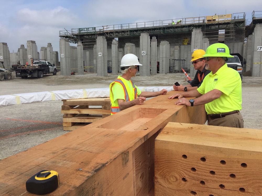 Ark Staff with Beam