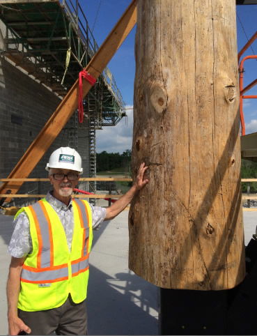 Columns in Noah's Ark