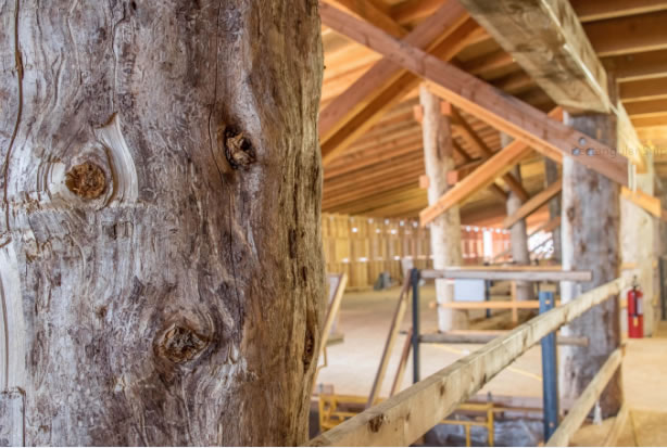 Timber Frame Construction of Ark