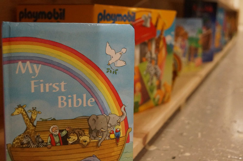 Noah’s Ark Books on Shelf