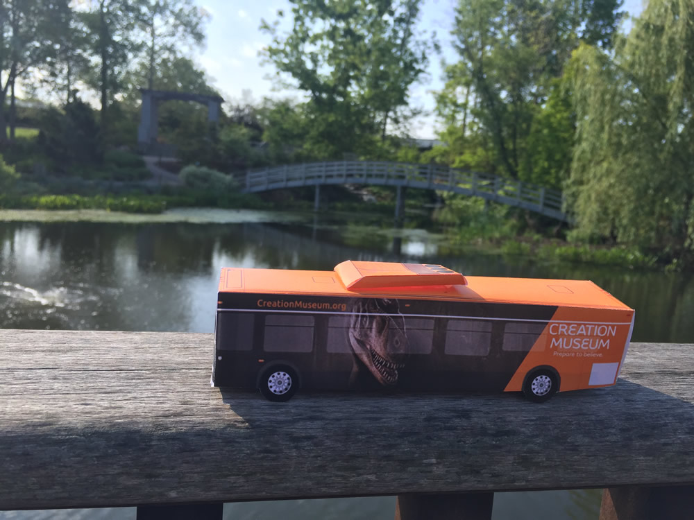 Bus Model with Bridge