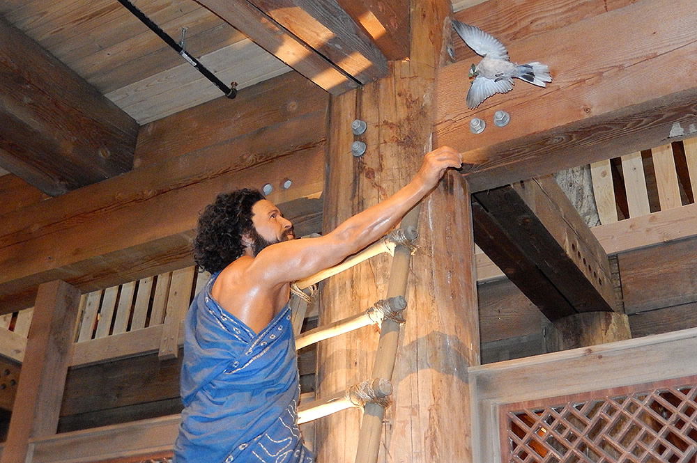 Noah with Returning Dove