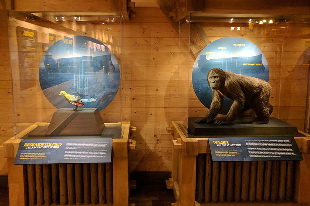 Animal Kinds Exhibit