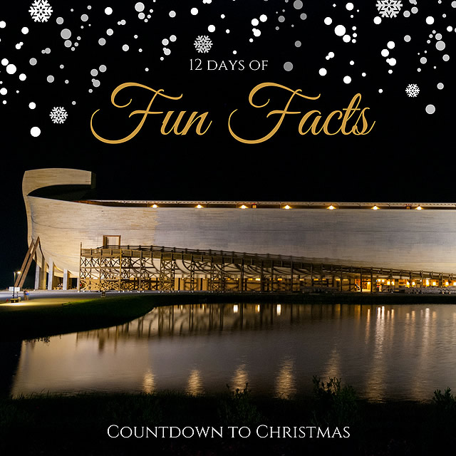 12 Days of Fun Facts