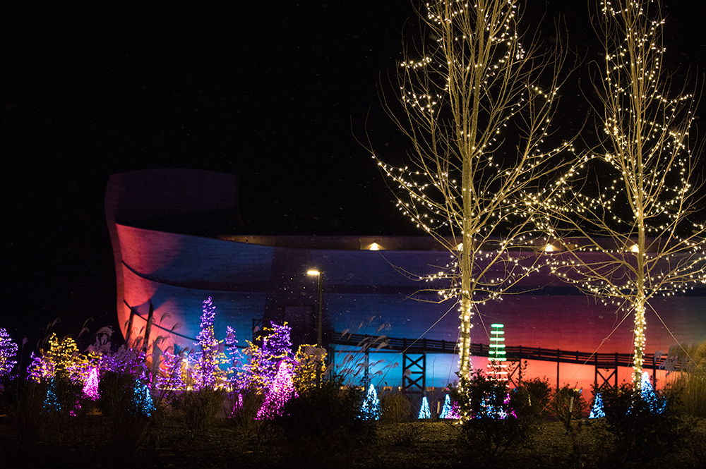 Ark with Lights on Trees