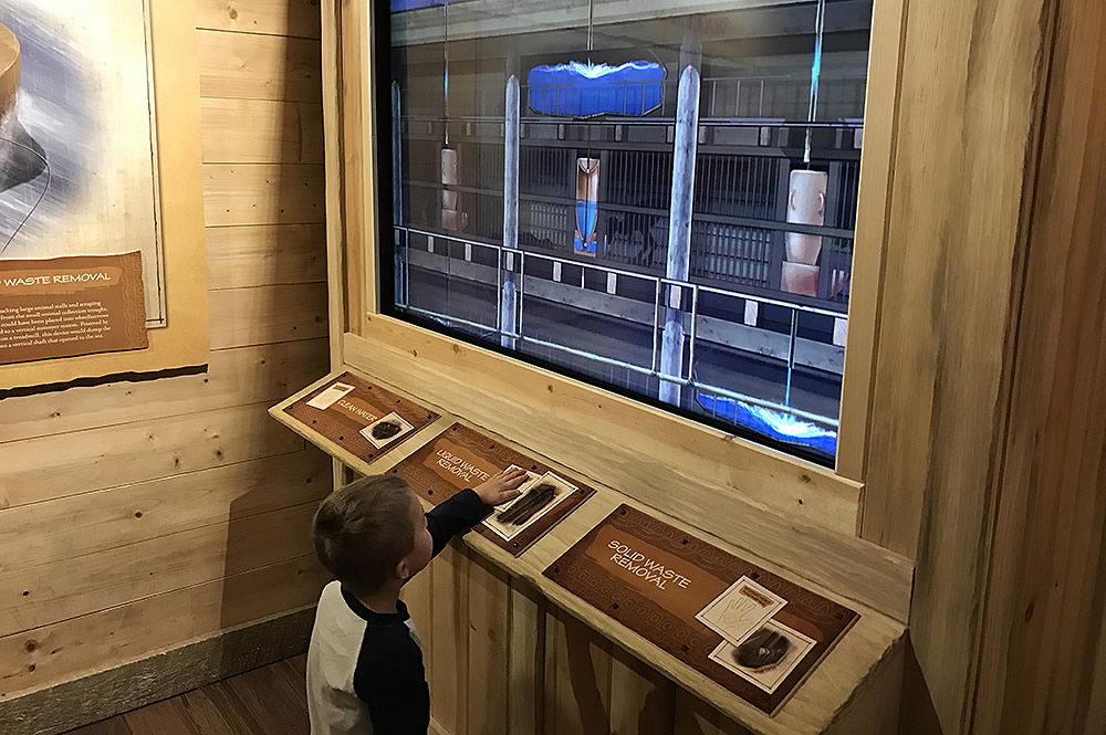 Interactive Water Exhibit