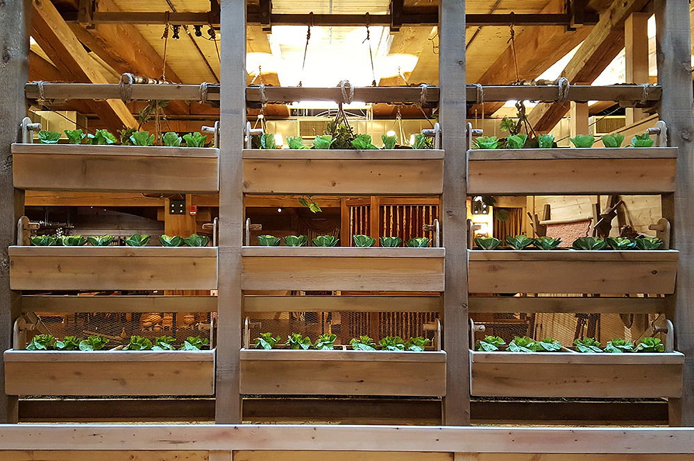 Growing Food on the Ark