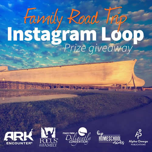 Instagram Loop Contest