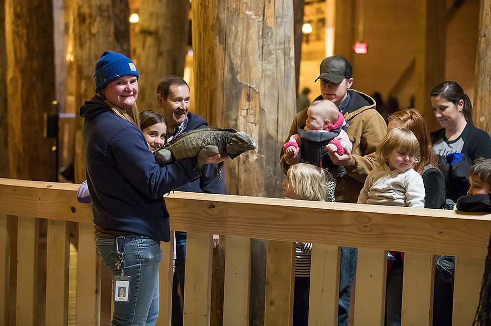 Ark Encounter Live Animal