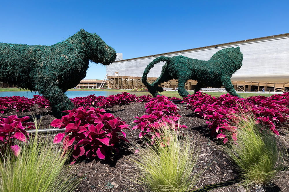 Lion Topiaries at Ark Encounter