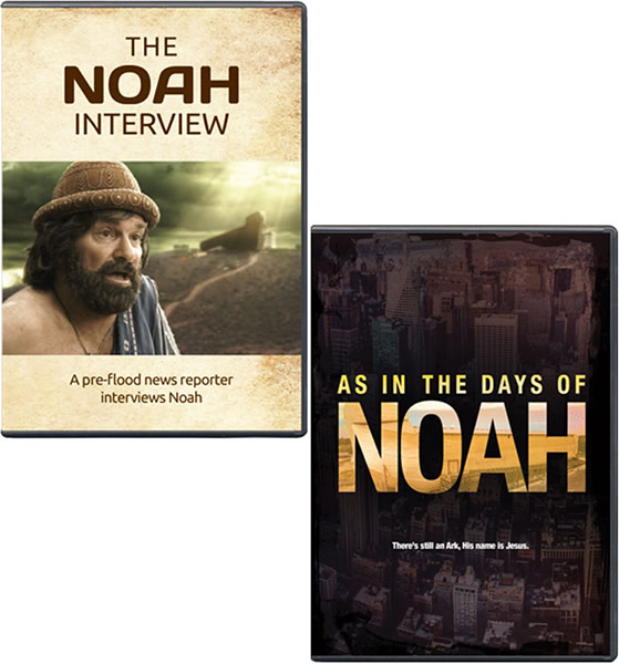 Noah Interview