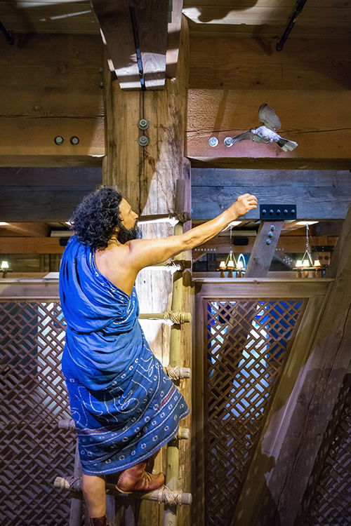 Noah Releasing a Dove at Ark Encounter