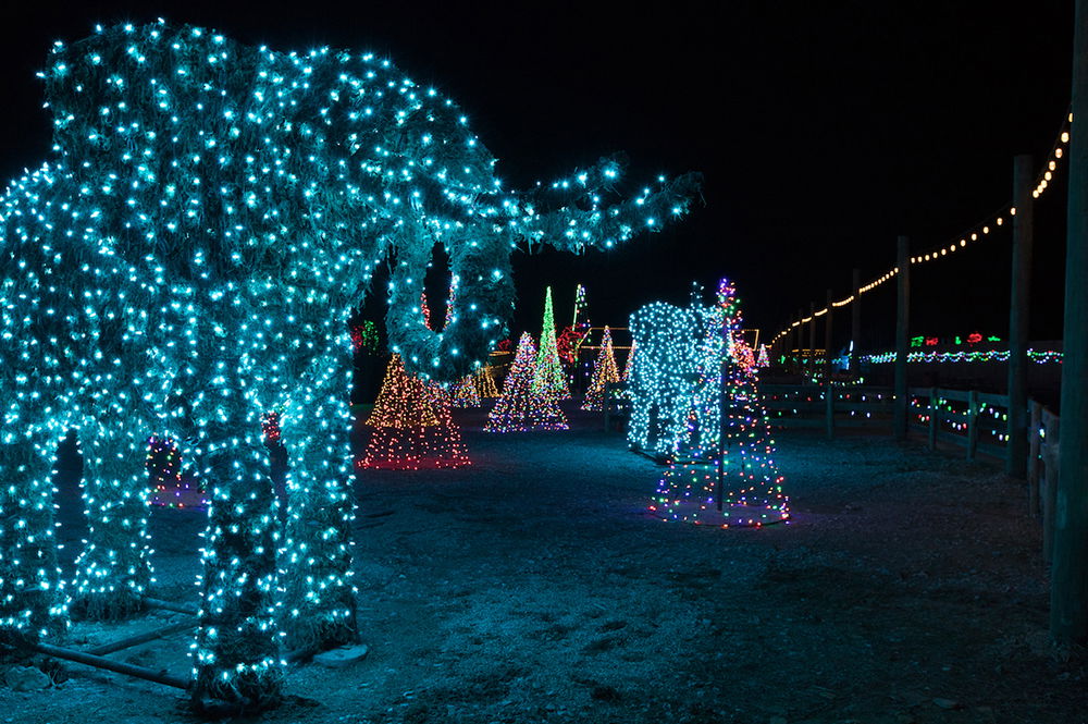 ChristmasTime at the Ark Encounter