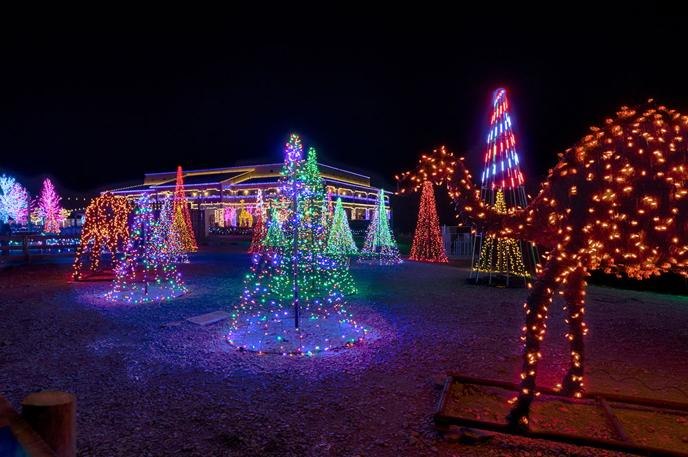 ChristmasTime at the Ark Encounter