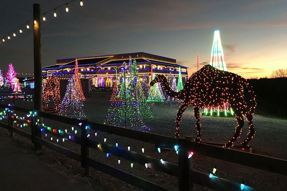 Zoo Walkway at ChristmasTime