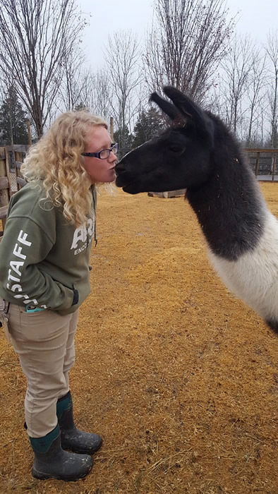 Llama Kisses