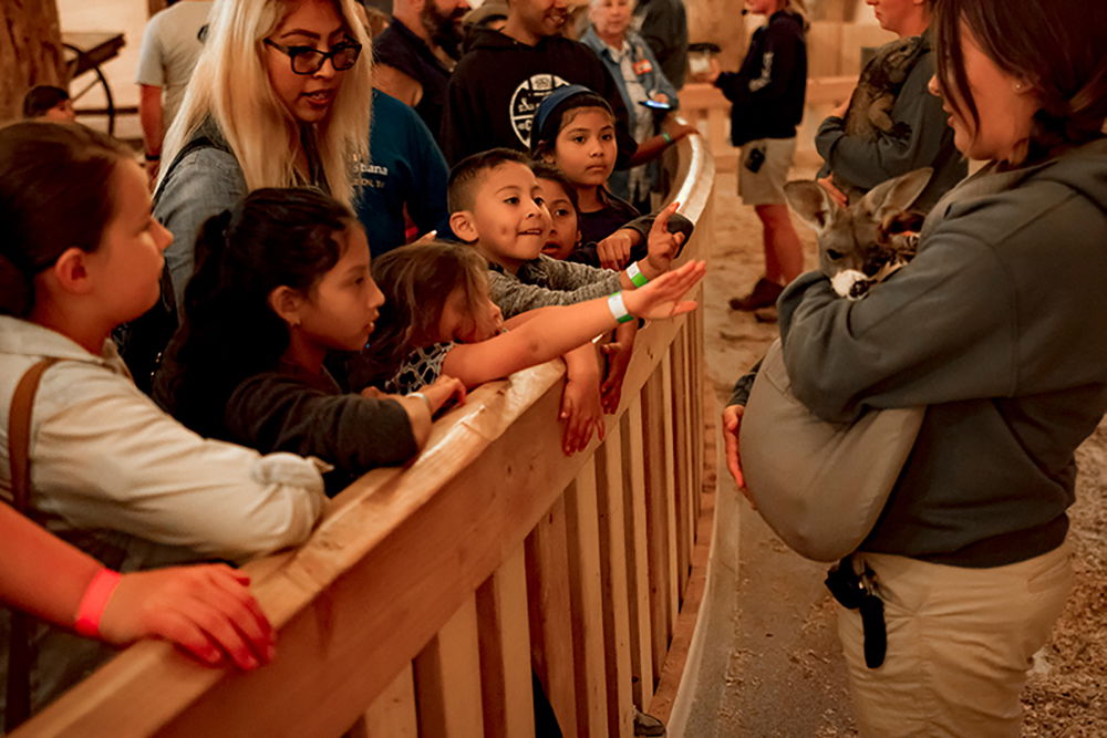 Día Latino at the Ark Encounter