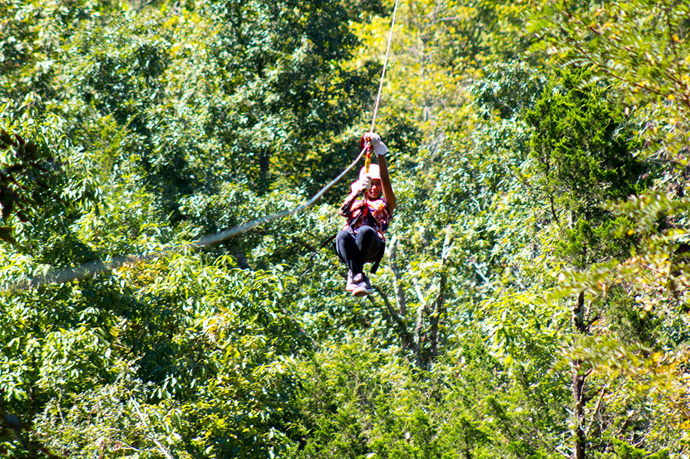 Ark Encounter Zip Lines