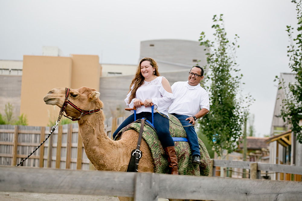 Family Camel Ride