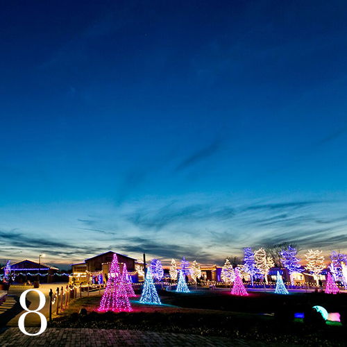 ChristmasTime at the Ark Encounter