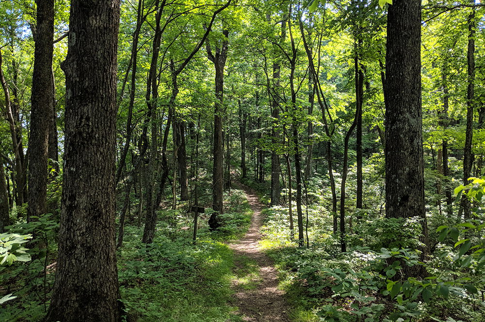 Cumberland Gap National Historical Park