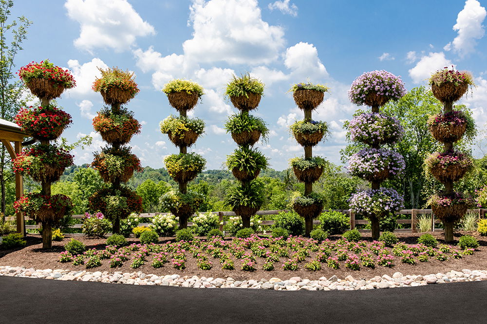 Ark Encounter Rainbow Garden