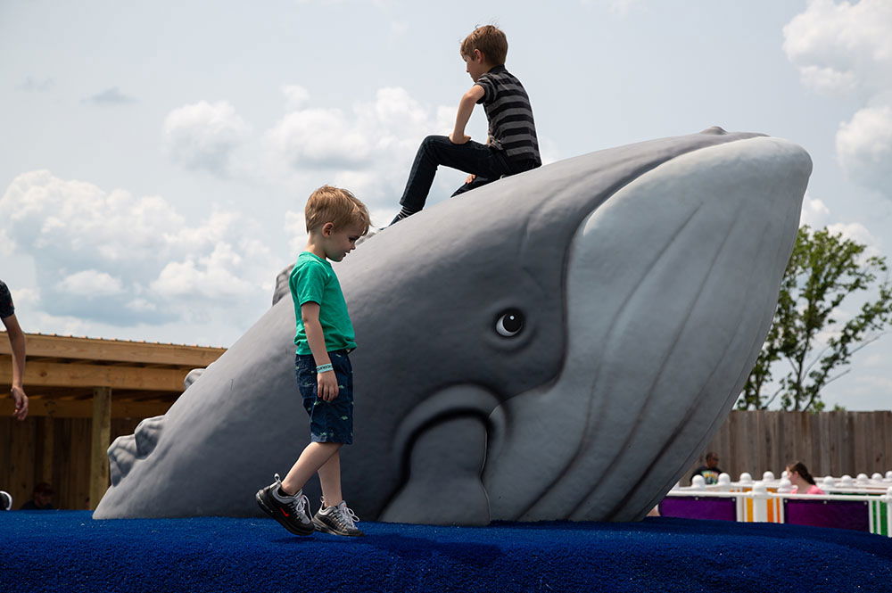 Ark Encounter Playground