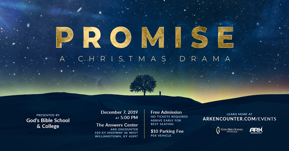Promise: A Christmas Drama