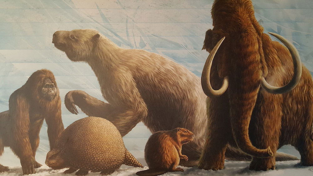 ice age adventures all animals