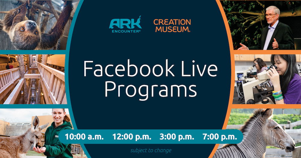 Facebook Live Programs