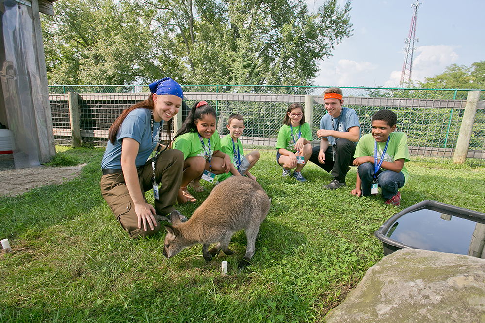 Explore Jr. Zoology