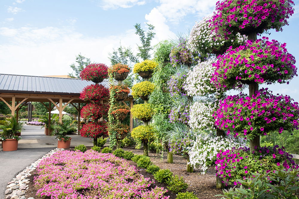 Take in the Sights of the Rainbow Gardens at the Ark Encounter | Ark ...