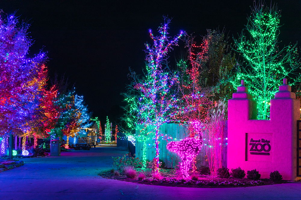 Get a Taste of ChristmasTime at the Ark Encounter with These 15 Photos