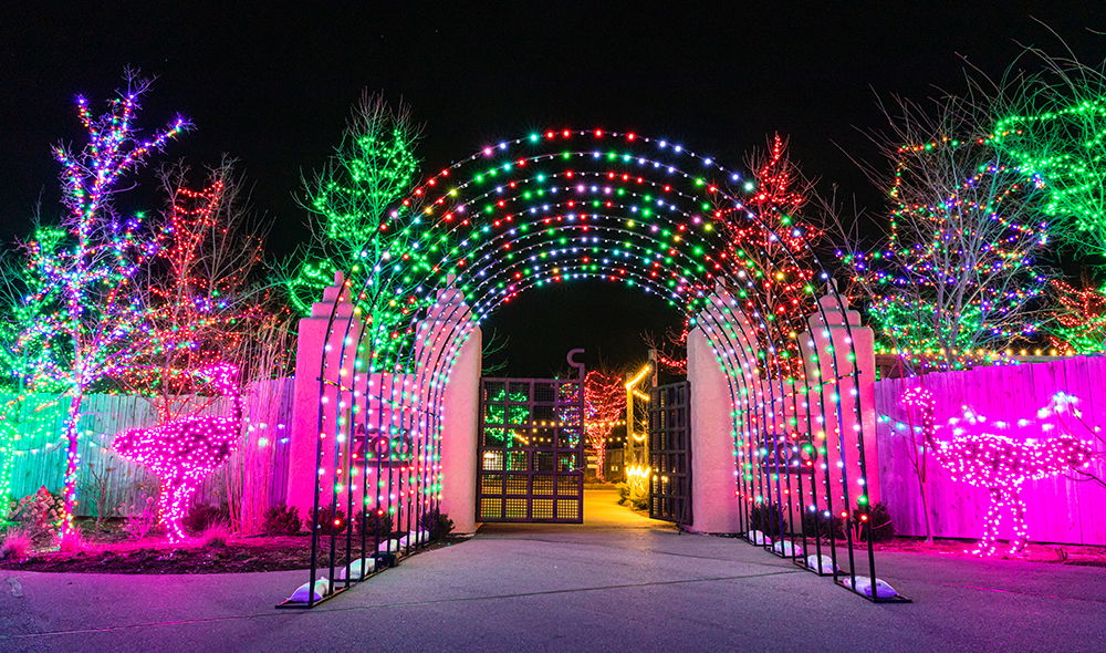 Get a Taste of ChristmasTime at the Ark Encounter with These 15 Photos