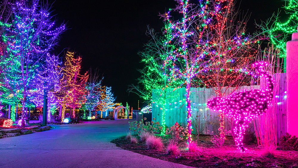 Get a Taste of ChristmasTime at the Ark Encounter with These 15 Photos