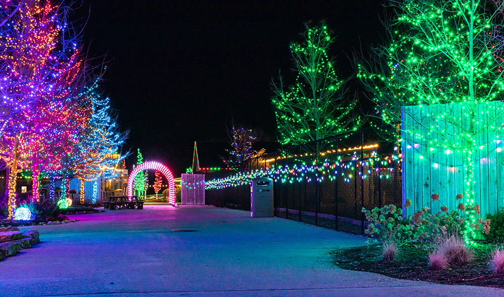 Get a Taste of ChristmasTime at the Ark Encounter with These 15 Photos