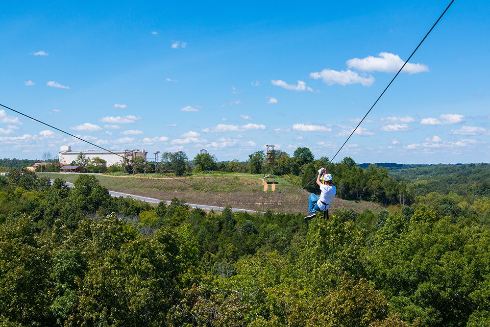 Zip Lines