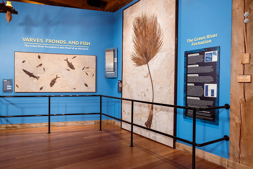 Green River Fossil Exhibit