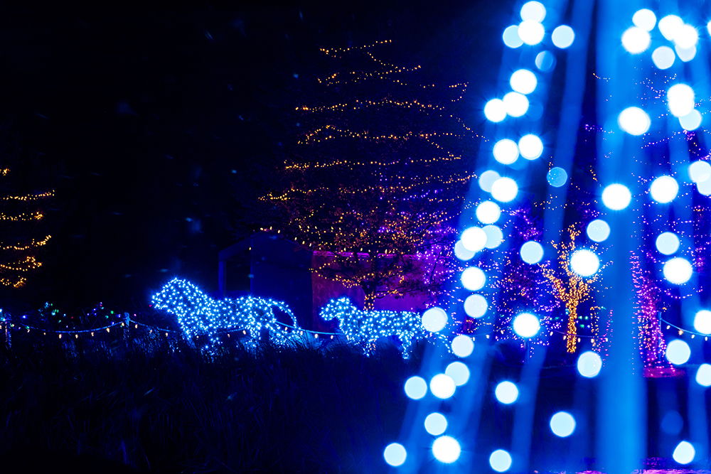 ChristmasTime at the Ark Encounter