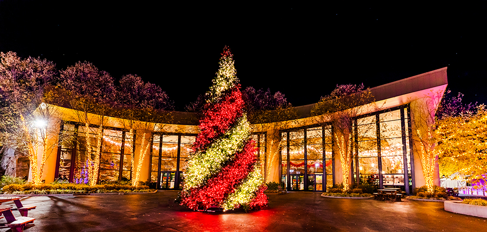 ChristmasTown at the Creation Museum