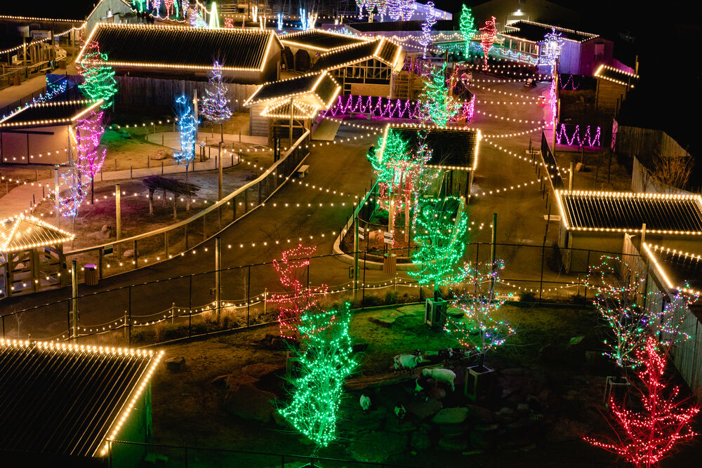 Kick off the Holiday Season with a Trip to ChristmasTime at the Ark