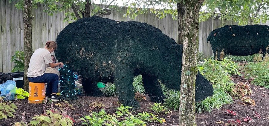 ChristmasTime Prep on Hippo Topiary