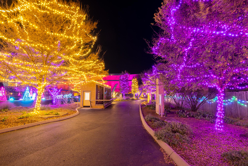 ChristmasTime at the Ark Encounter