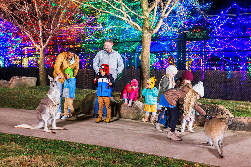 ChristmasTime at the Ark Encounter